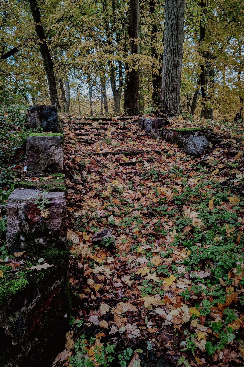 Pozostałości grobowca rodu von Rosenberg 2023